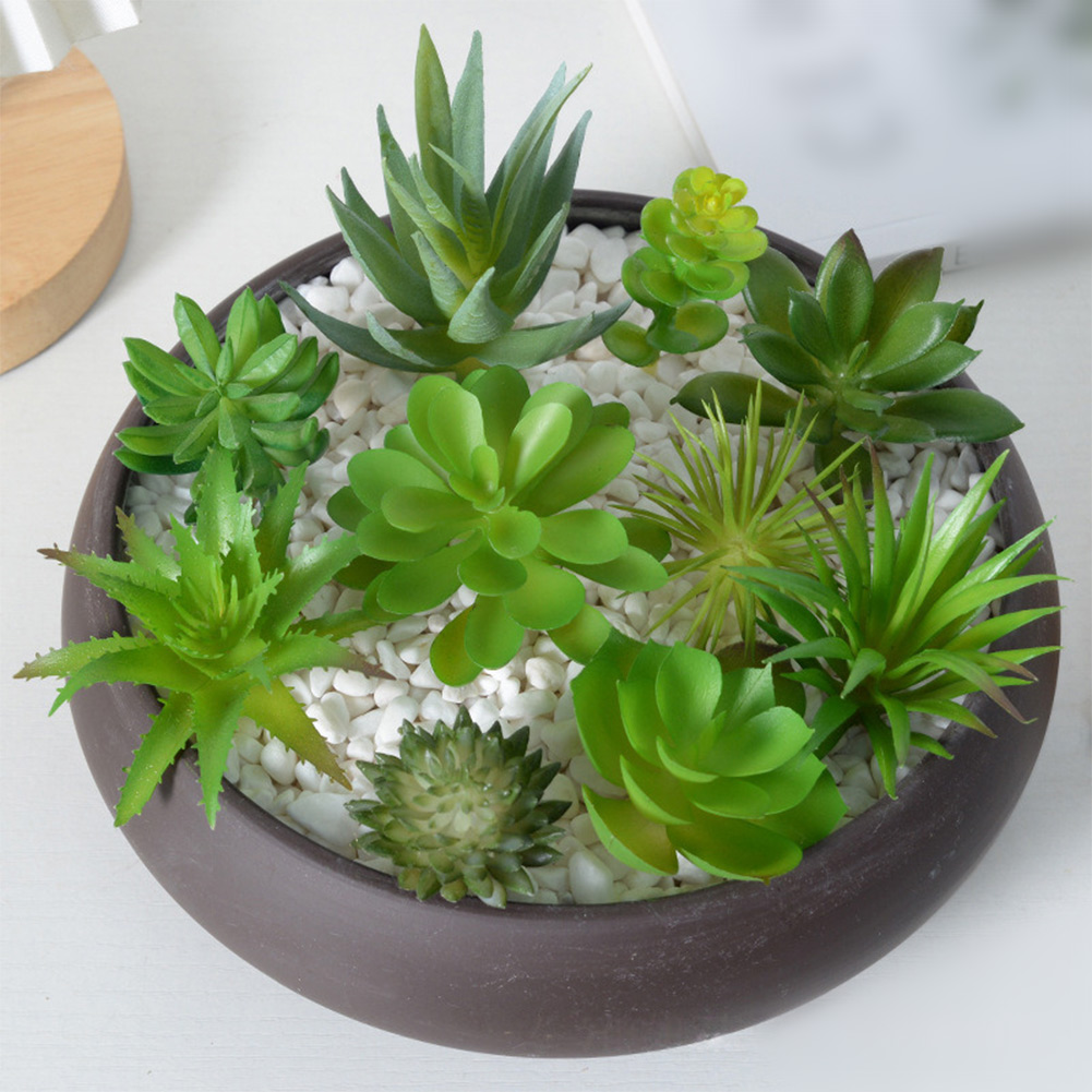 Succulent Arrangement Mini - Composizione di Piante Grasse Artificiali per