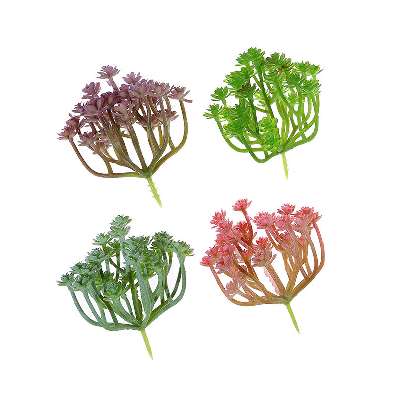 Succulent Arrangement Mini - Wusmart Large Xian Ren Ke piante