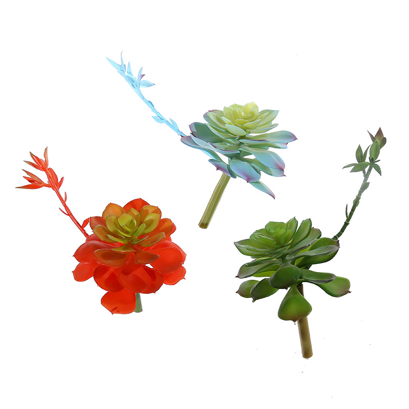 Succulent Arrangement Mini - Wusmart Zhong Shi Lian grandi piante