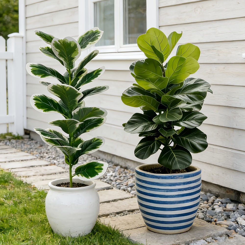 Fiddle Leaf Fig - Alberi di Banyan Artificiali da Esterno,
