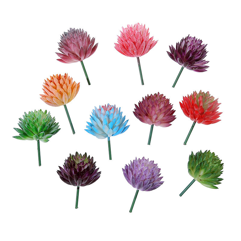 Succulent Arrangement Mini - Wusmart Ji Wa Lian piante grasse