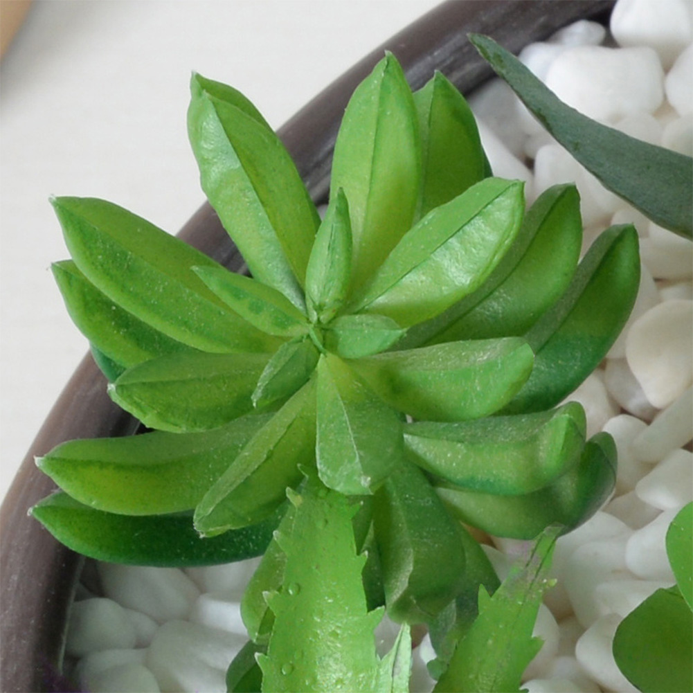 Succulent Arrangement Mini - Composizione di Piante Grasse Artificiali a