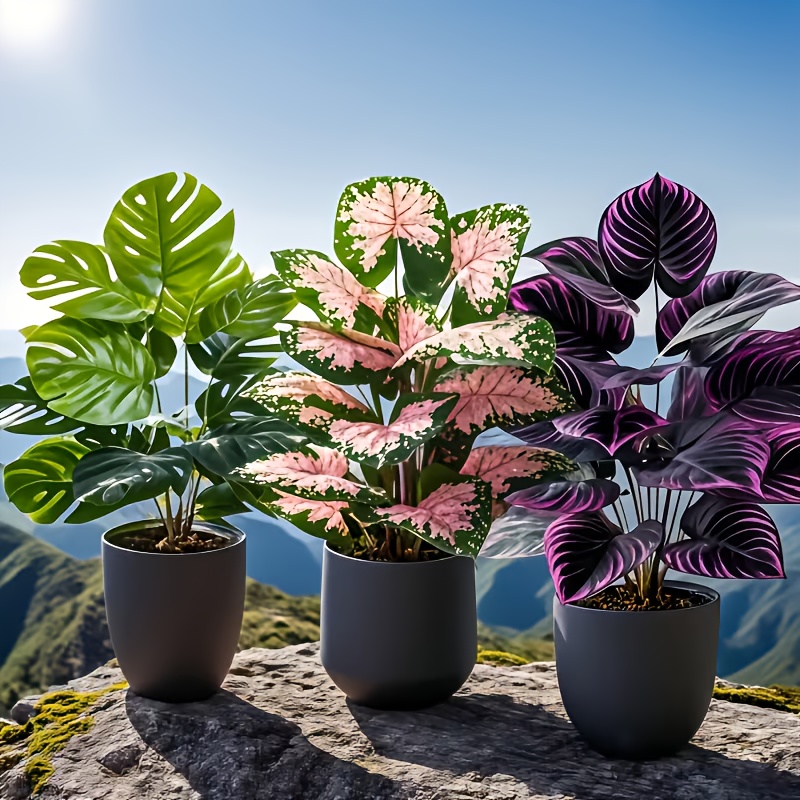 Fiddle Leaf Fig - Set di 3 Piante Artificiali Miste,