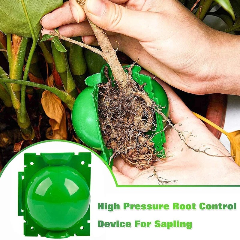 5/30 Pezzi Scatole per la Prop - Plant Parents recensione e prezzo