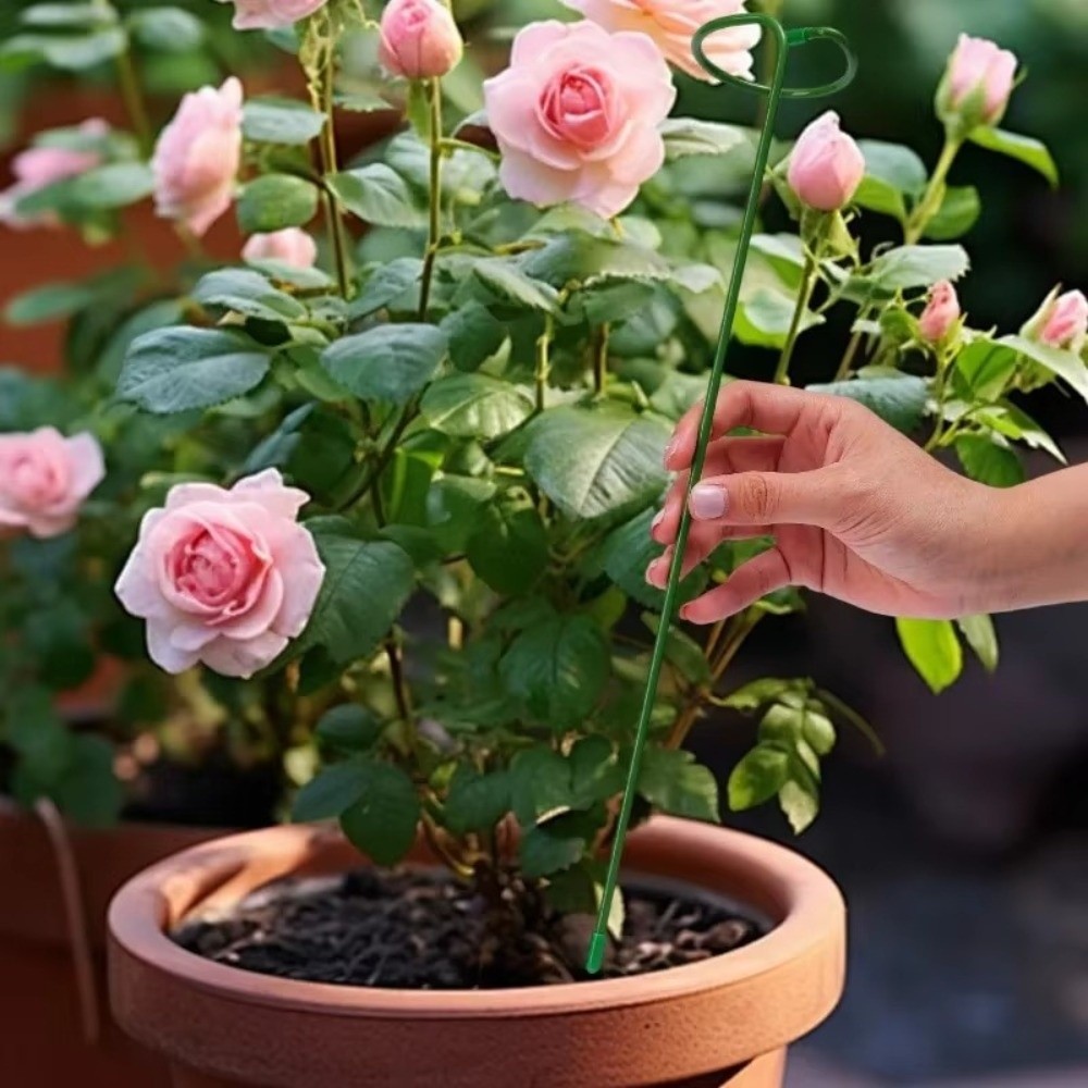 Nuovo Supporto in Metallo Anti - Plant Parent Tools recensione e prezzo