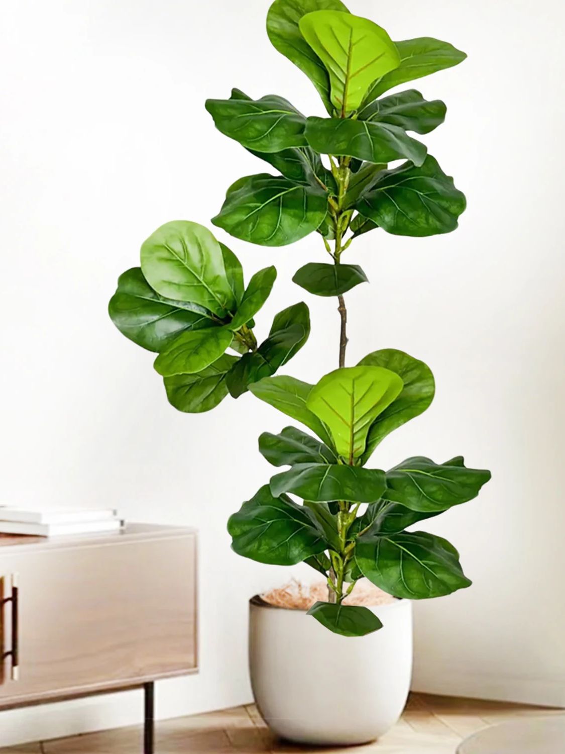 Albero Artificiale di Ficus Ly - Fiddle Leaf Fig recensione e prezzo