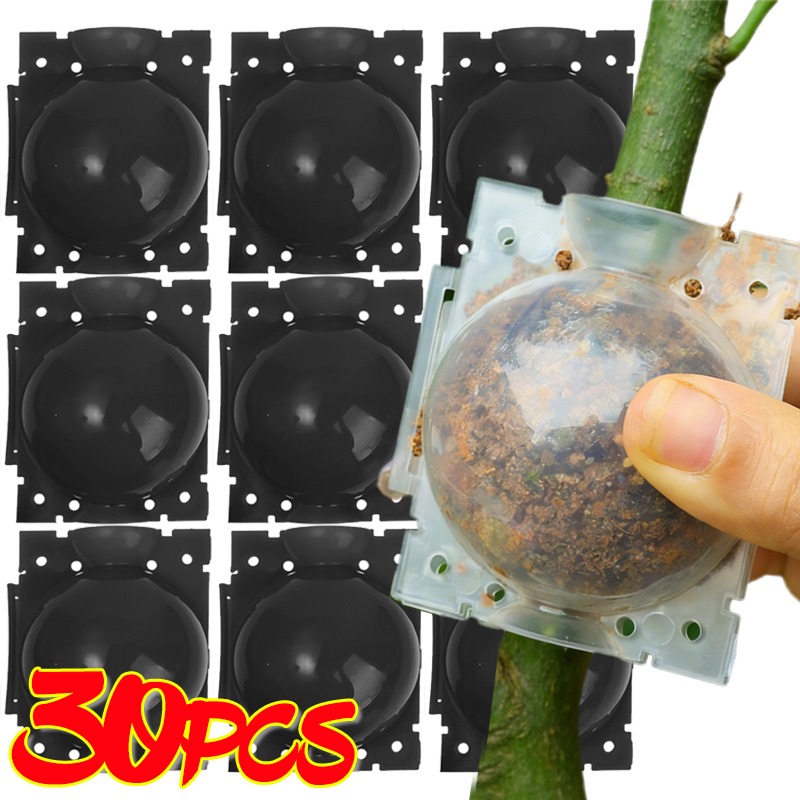 Strumenti per innesto a sfera  - Plant Parents recensione e prezzo