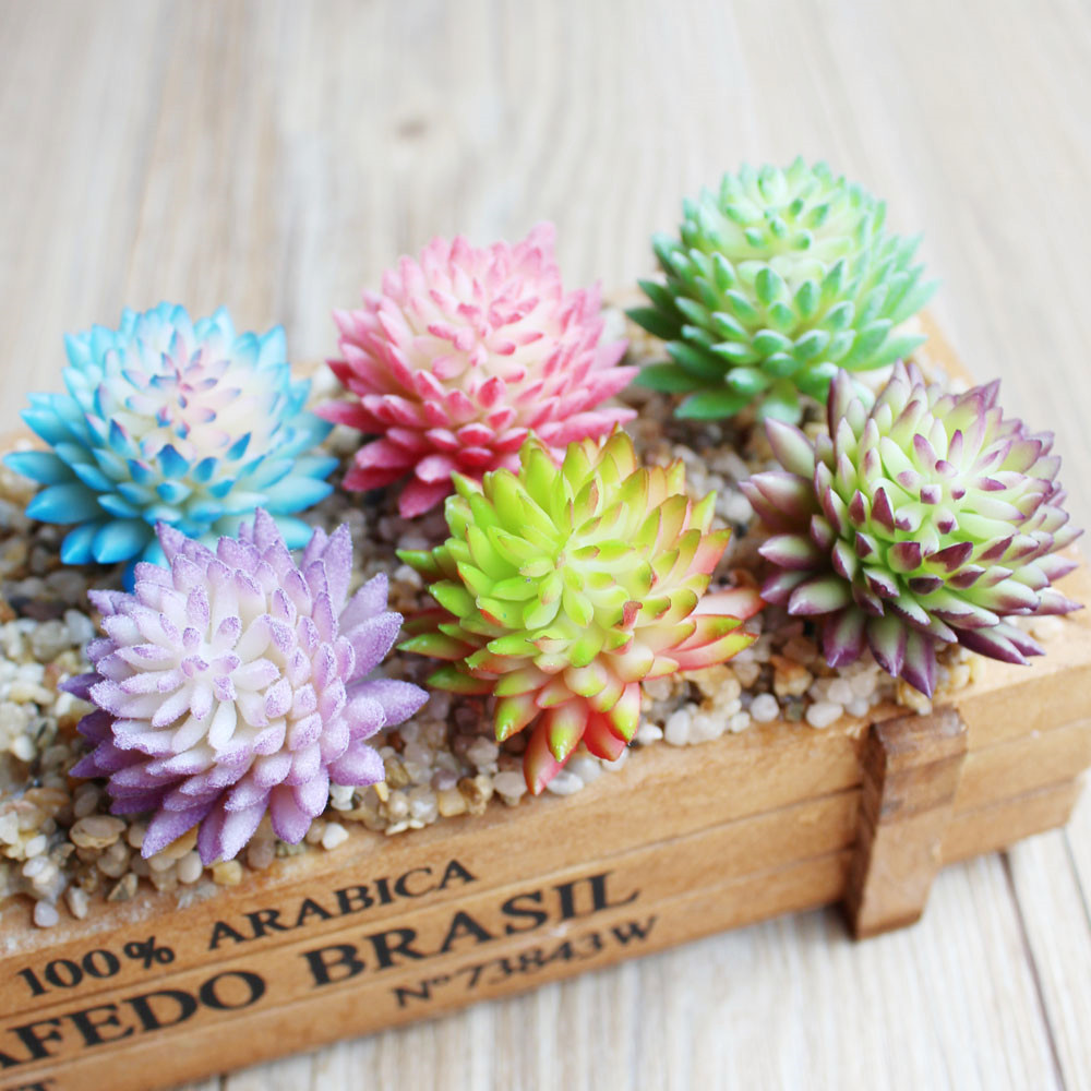 Piante succulente artificiali  - Succulent Arrangement Mini recensione e prezzo