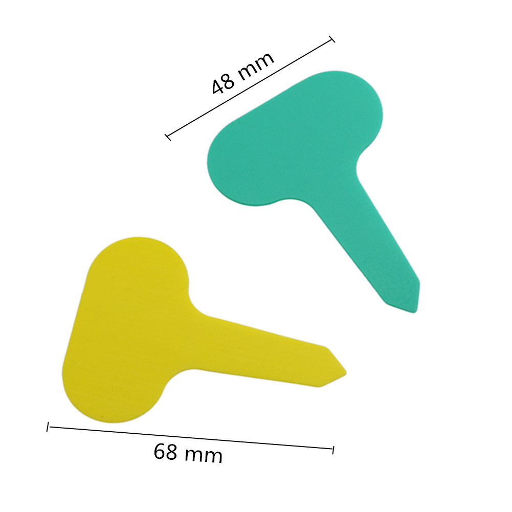 100 pezzi Etichette per piante - Plant Parent Tools recensione e prezzo