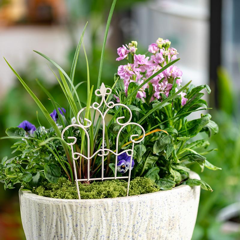 Mini Recinzione in Ferro Decor - Succulent Arrangement Mini recensione e prezzo