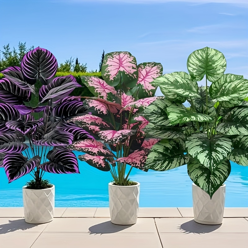 3 pz 60 cm Grande Pianta Verde - Fiddle Leaf Fig recensione e prezzo