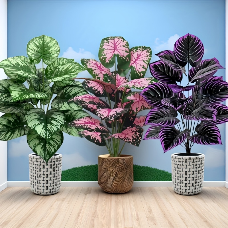 3 pz 60 cm Grande Pianta Verde - Fiddle Leaf Fig recensione e prezzo