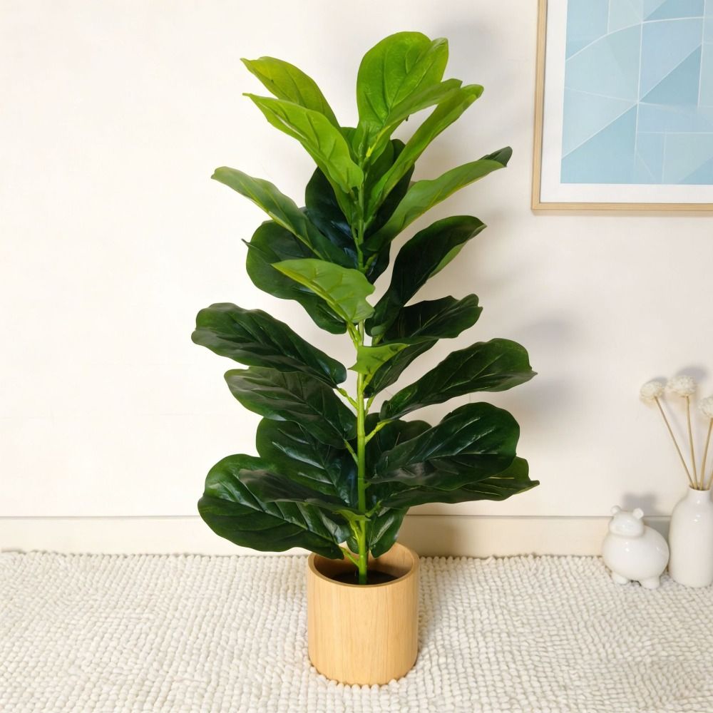 Albero di Ficus Artificiale in - Fiddle Leaf Fig recensione e prezzo