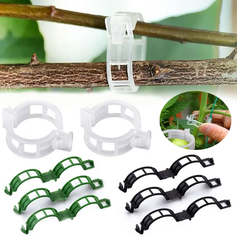 100PCS Pianta Clip di Fissaggi - Plant Parent Tools recensione e prezzo