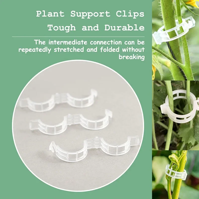 100PCS Pianta Clip di Fissaggi - Plant Parent Tools recensione e prezzo