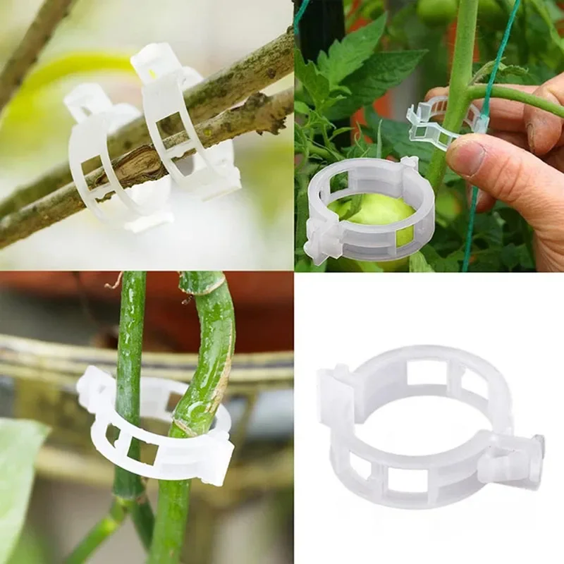 100PCS Pianta Clip di Fissaggi - Plant Parent Tools recensione e prezzo