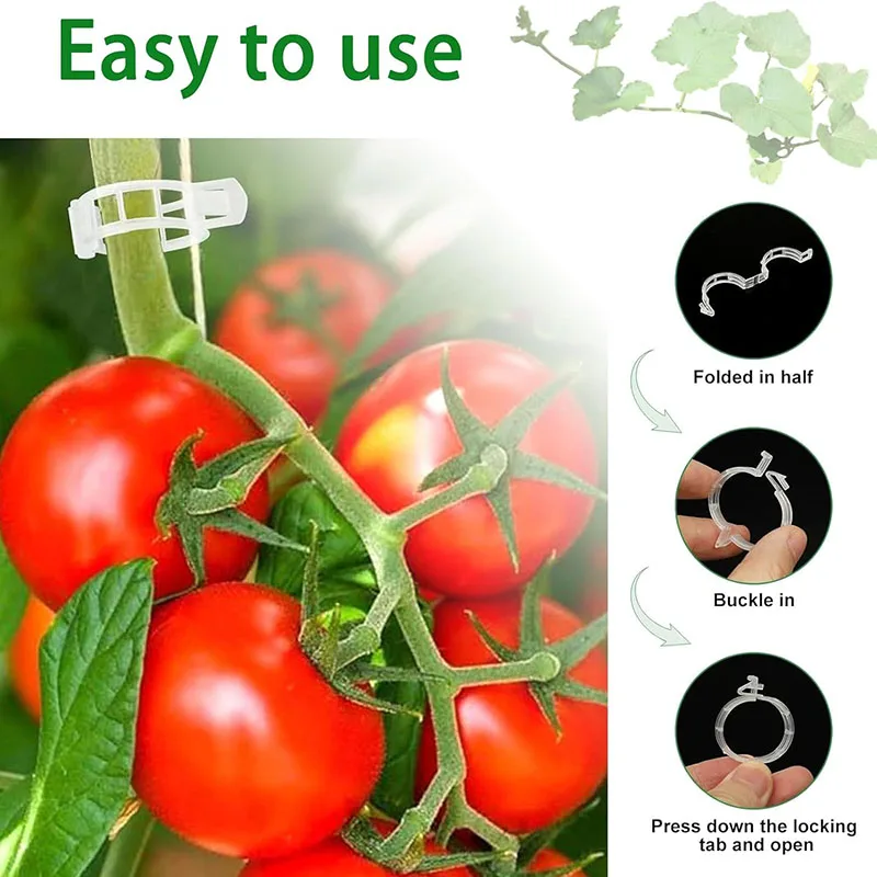 100PCS Pianta Clip di Fissaggi - Plant Parent Tools recensione e prezzo