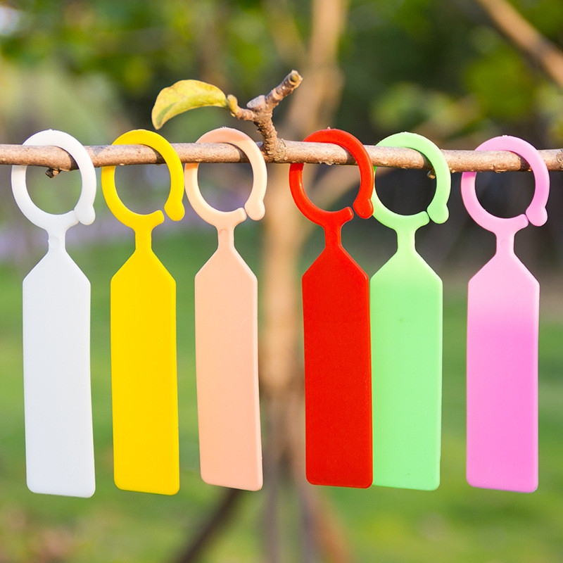 50 pz Etichette per piante imp - Plant Parent Tools recensione e prezzo
