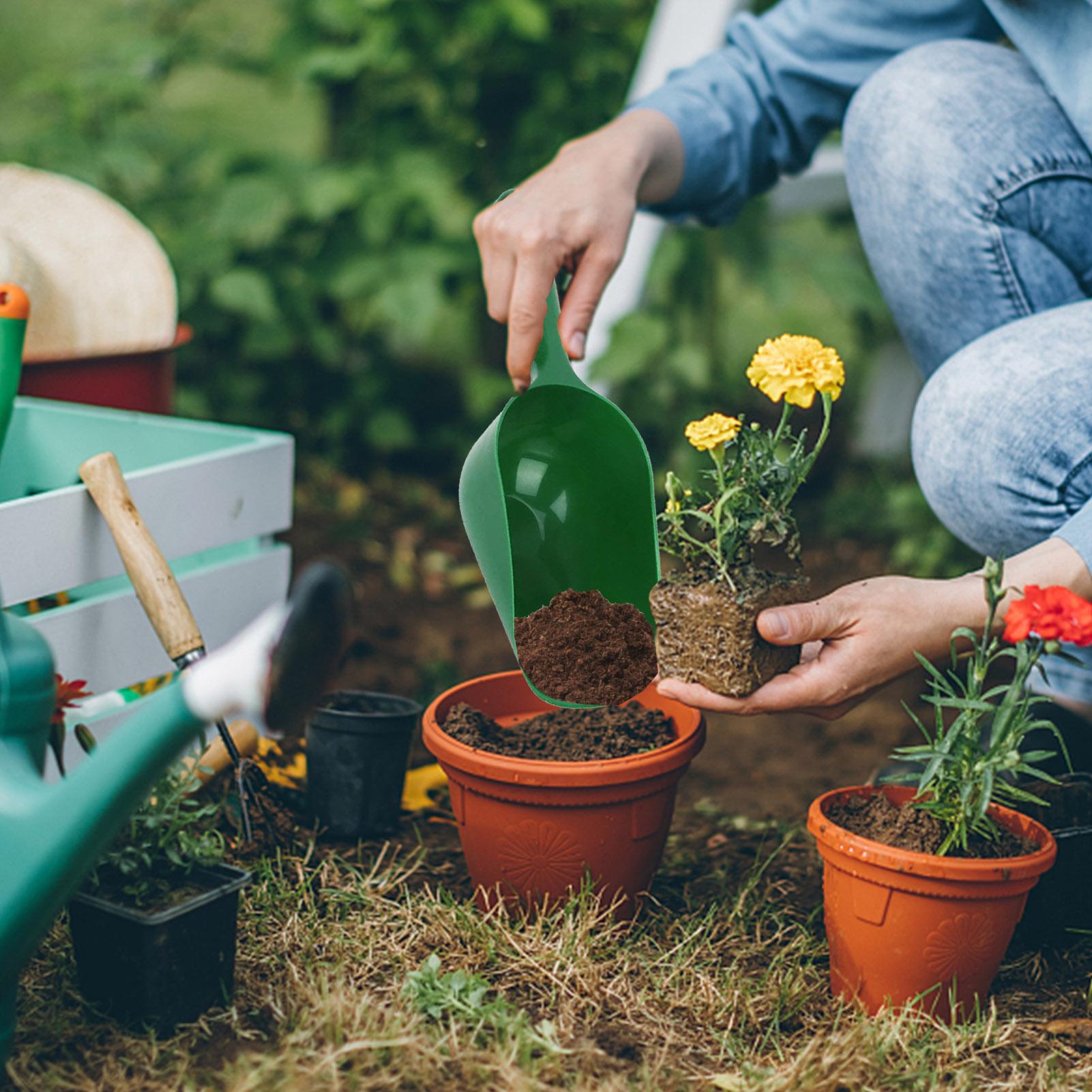 Pala da Giardinaggio Grande Ca - Plant Parent Tools recensione e prezzo