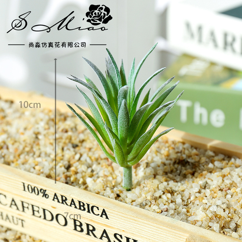 Piante Succulente Artificiali  - Succulent Arrangement Mini recensione e prezzo