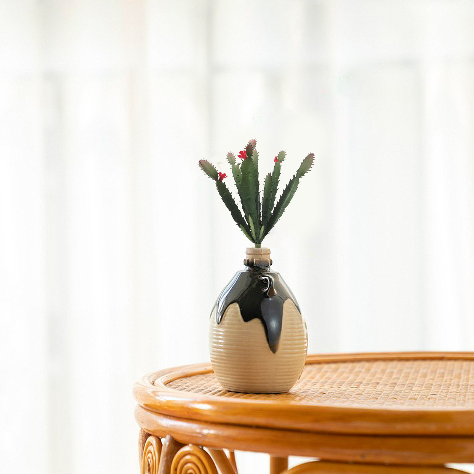 Mini Composizione di Piante Su - Succulent Arrangement Mini recensione e prezzo