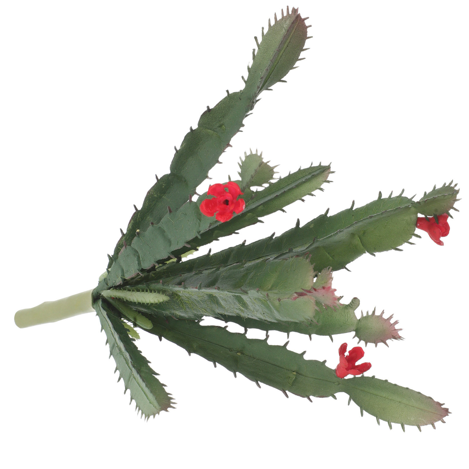 Mini Composizione di Piante Su - Succulent Arrangement Mini recensione e prezzo