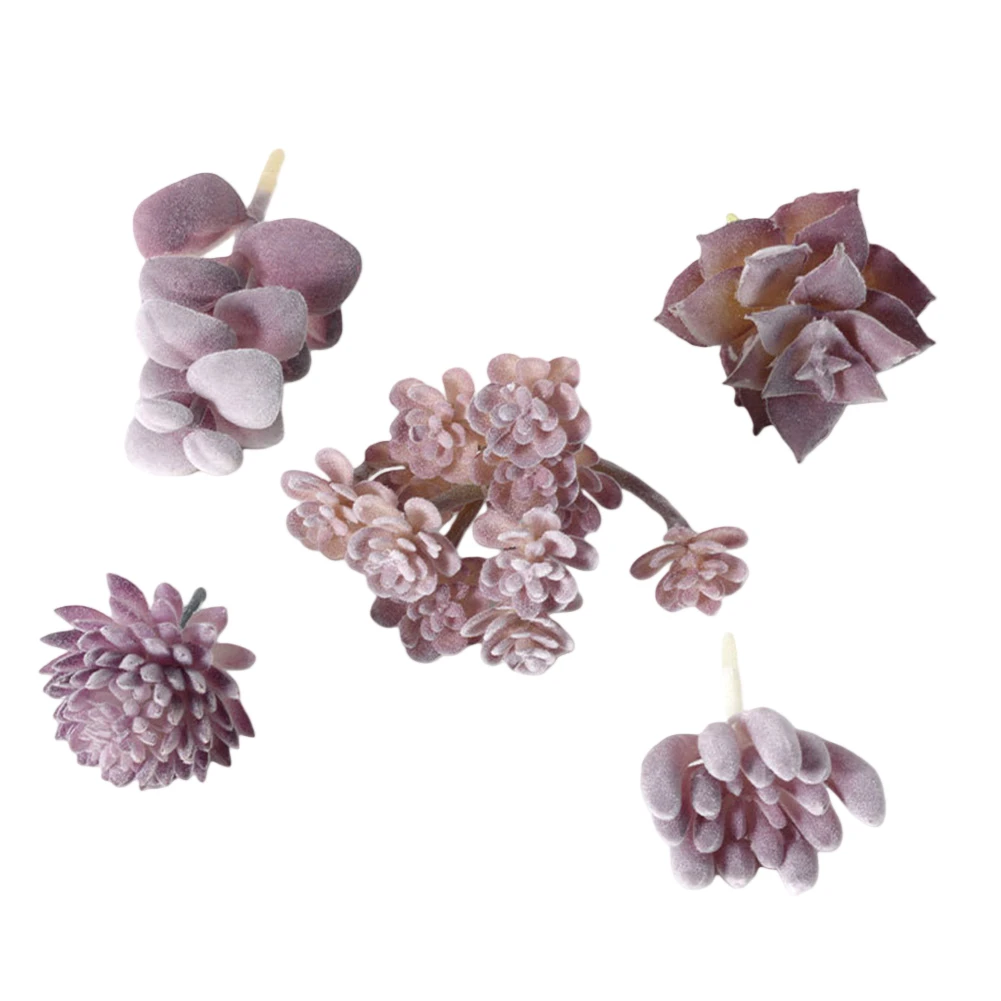 Facile manutenzione per compos - Succulent Arrangement Mini recensione e prezzo