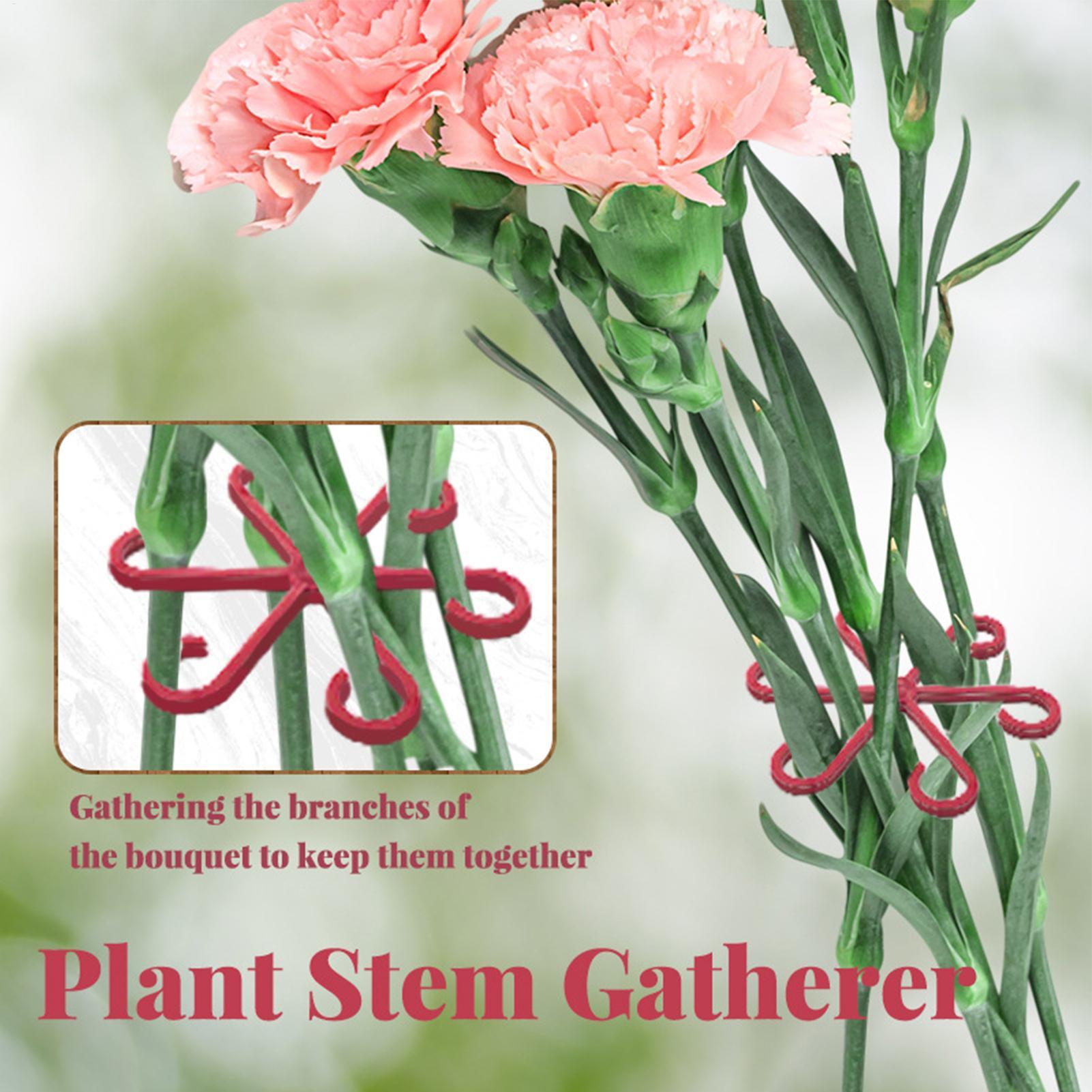 Set di 4 Clip per Fissaggio Pi - Plant Parent Tools recensione e prezzo