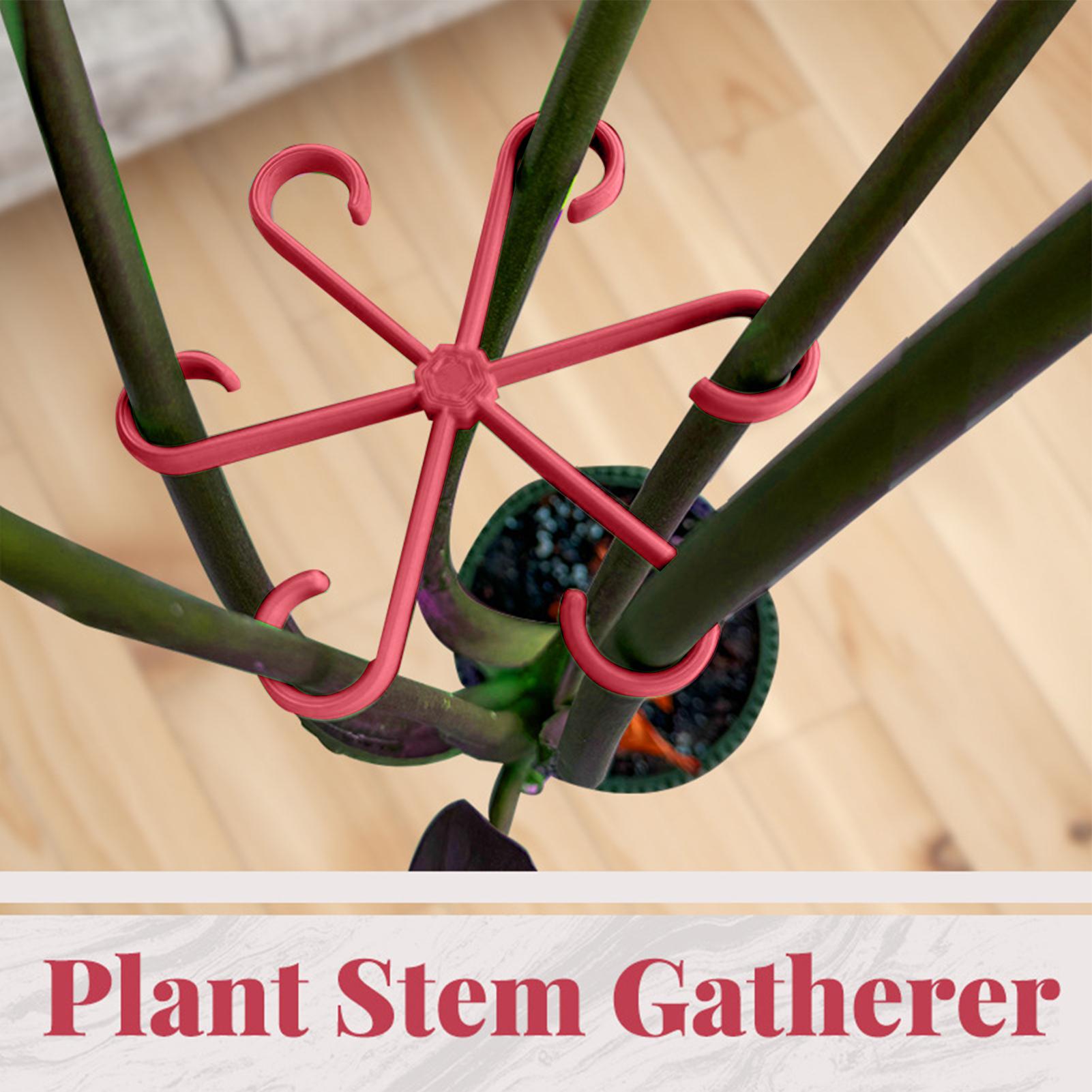 Set di 4 Clip per Fissaggio Pi - Plant Parent Tools recensione e prezzo