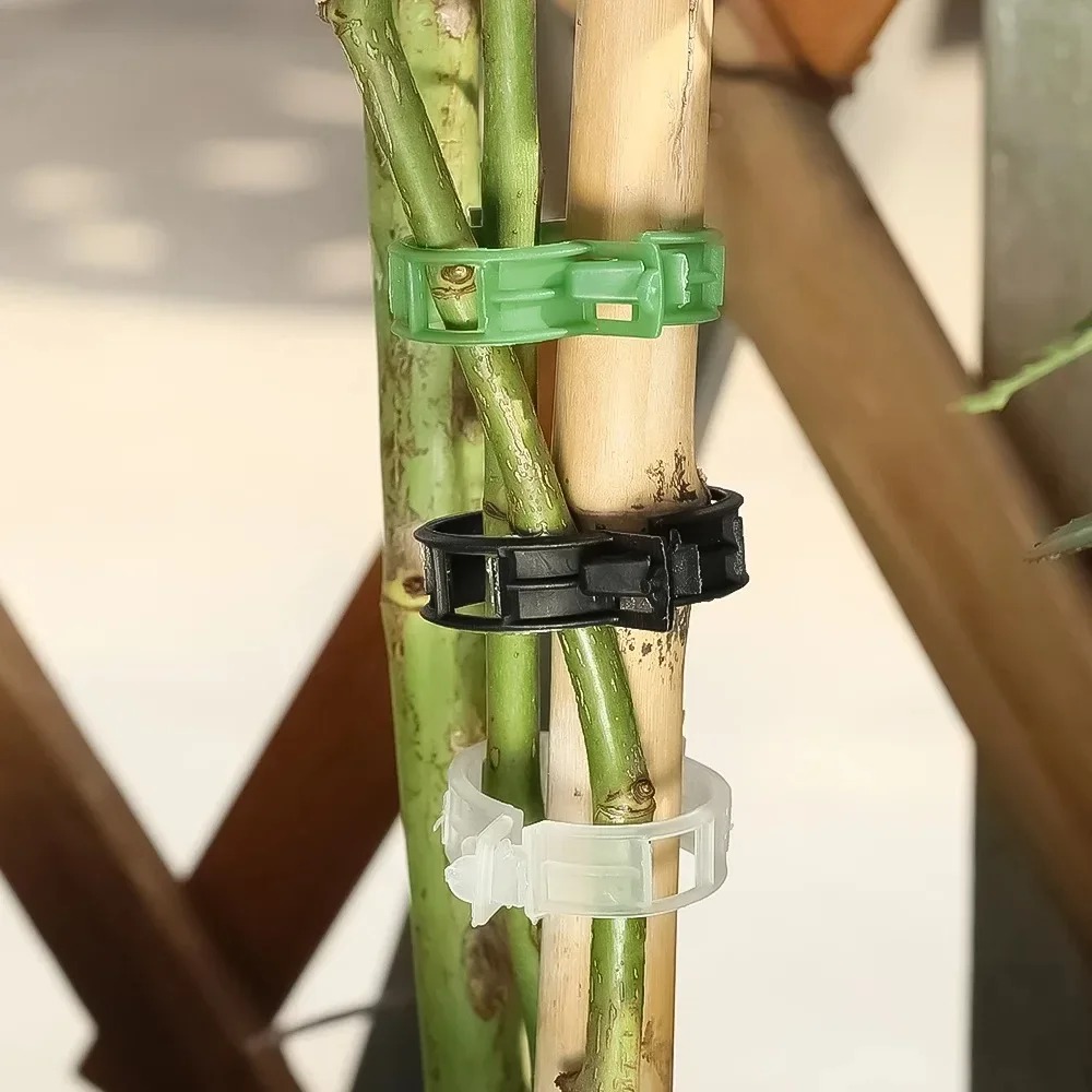 100/10 Pezzi Clip di Supporto  - Plant Parent Tools recensione e prezzo