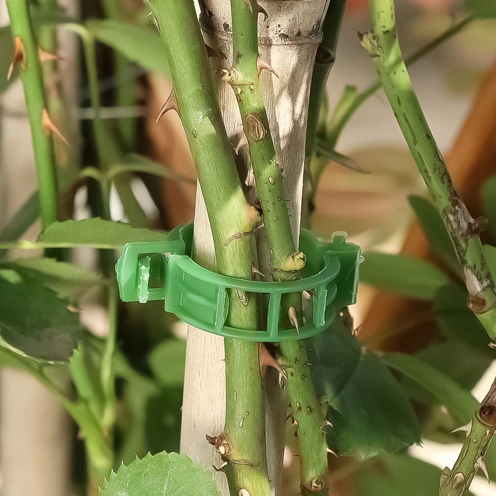 100/10 Pezzi Clip di Supporto  - Plant Parent Tools recensione e prezzo
