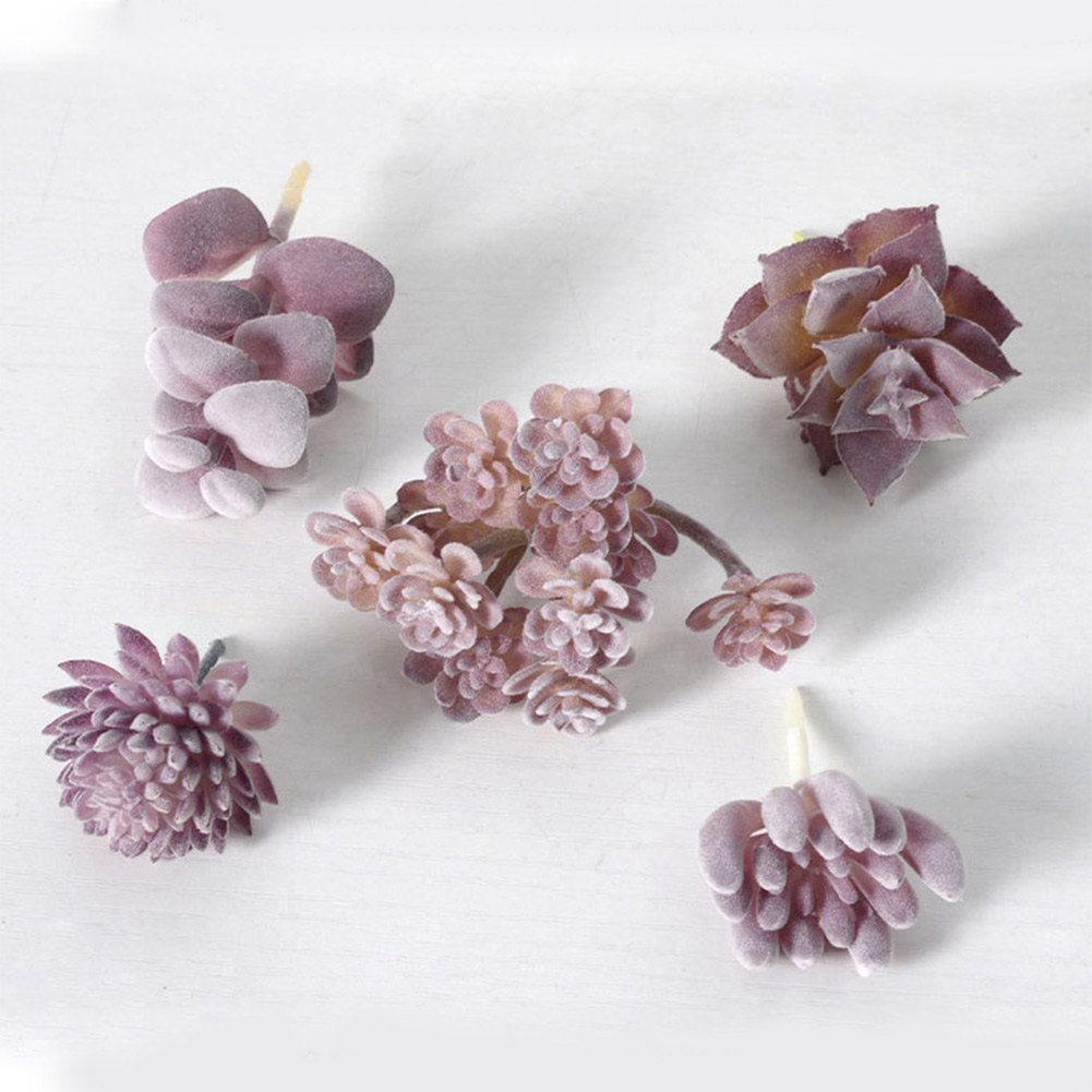 Vaso per Piante Grasse Rotondo - Succulent Arrangement Mini recensione e prezzo