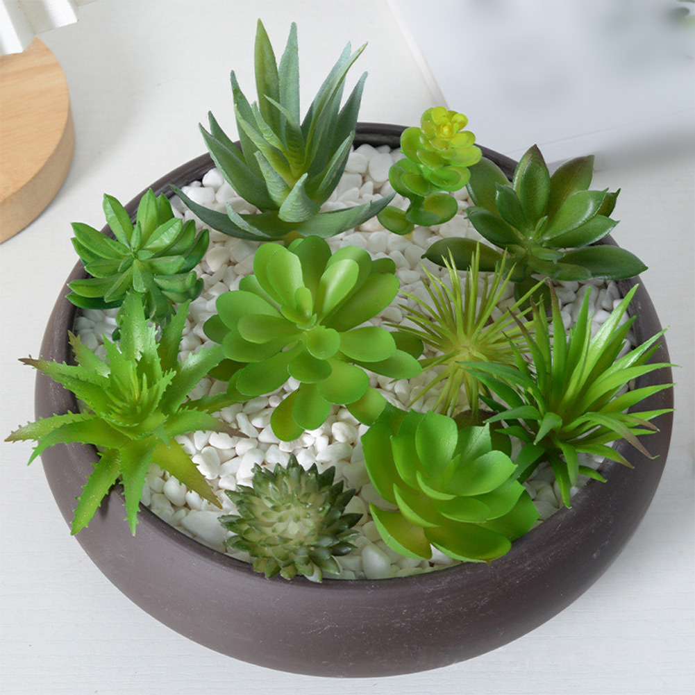 Vaso per Piante Grasse Rotondo - Succulent Arrangement Mini recensione e prezzo