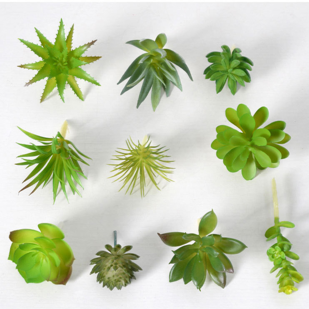 Vaso per Piante Grasse Rotondo - Succulent Arrangement Mini recensione e prezzo