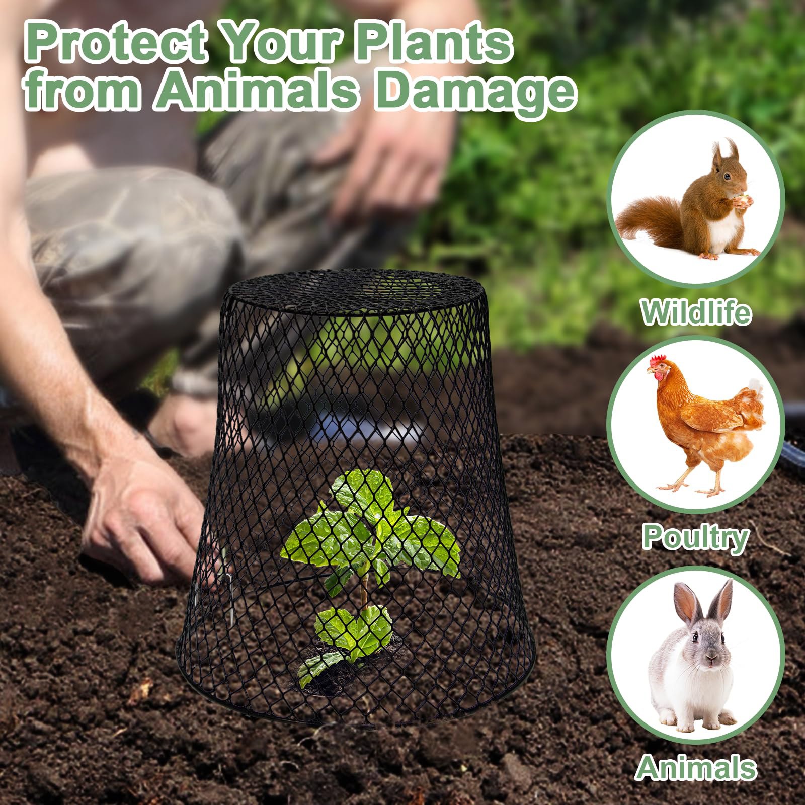 Anelli di protezione per piant - Plant Parent Tools recensione e prezzo