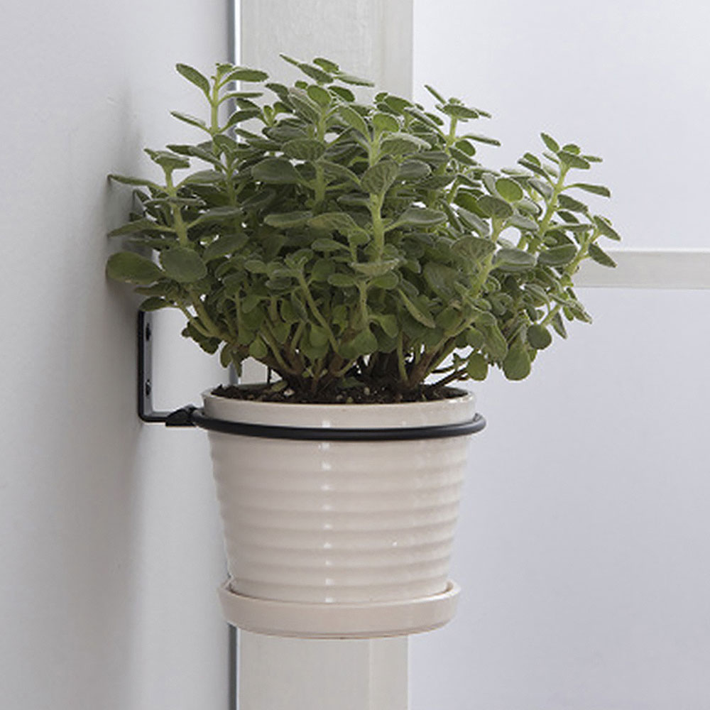 Vassoi per vasi da fiori Porta - Plant Parents recensione e prezzo