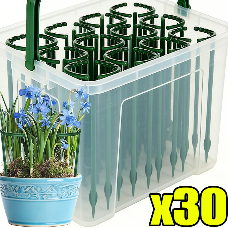 30-1 Pezzi Supporto per Piante - Plant Parent Tools recensione e prezzo