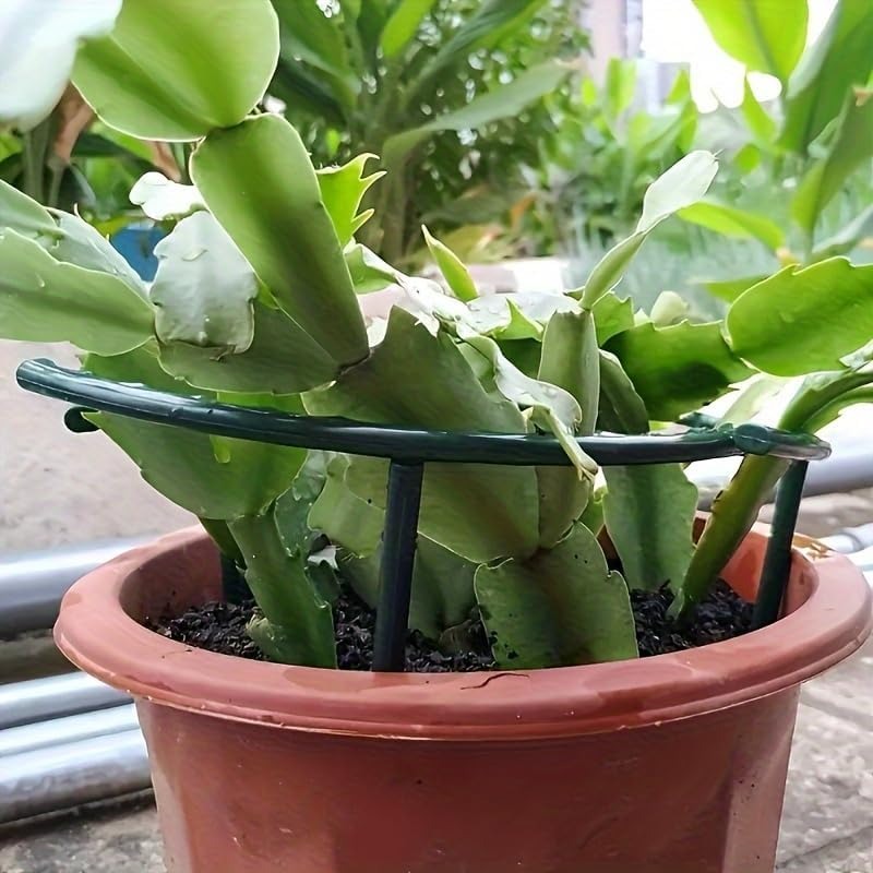 30-1 Pezzi Supporto per Piante - Plant Parent Tools recensione e prezzo
