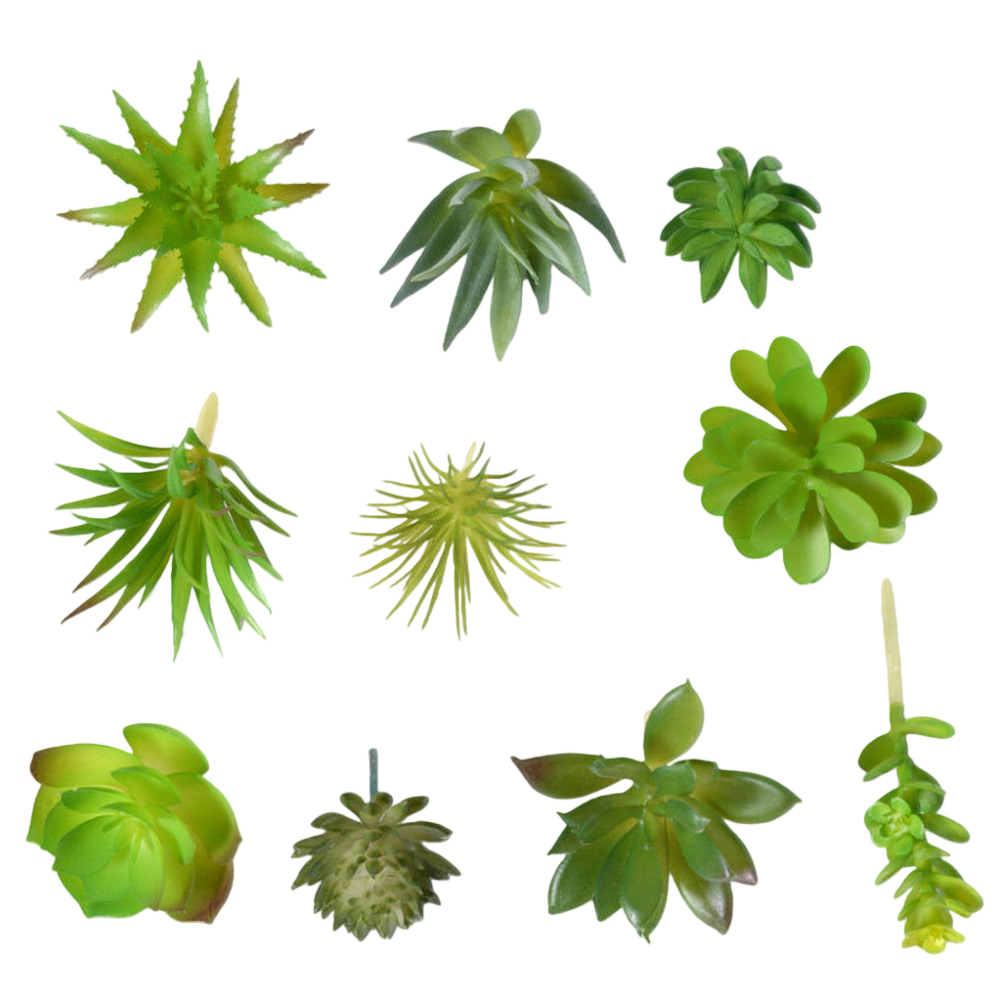 Accessorio fotografico adatto  - Succulent Arrangement Mini recensione e prezzo