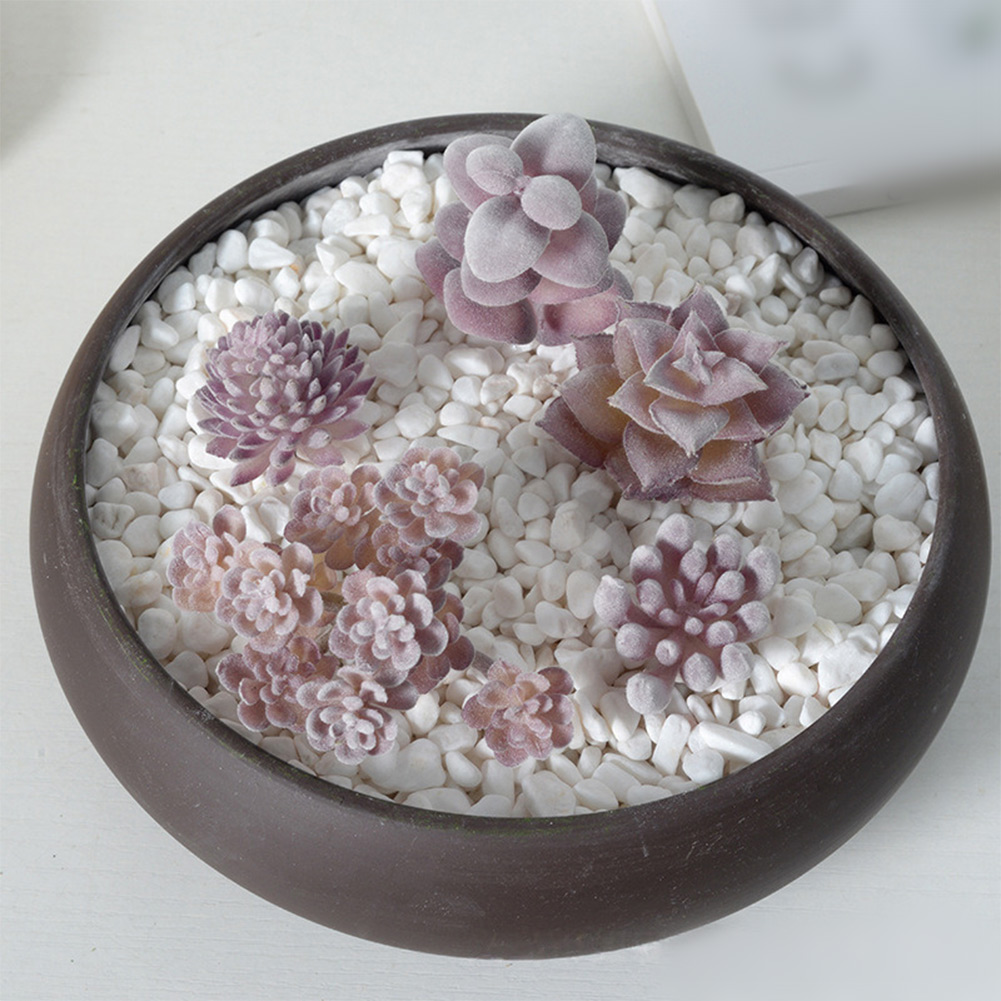 Accessorio fotografico adatto  - Succulent Arrangement Mini recensione e prezzo