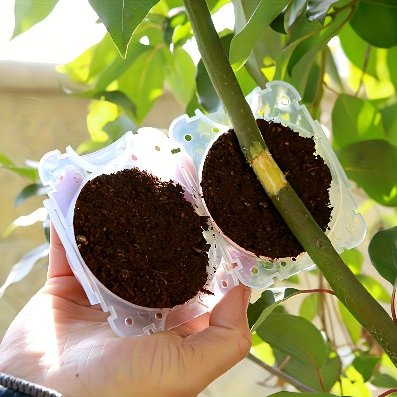 Set di 10 Scatole per Propagaz - Plant Parents recensione e prezzo