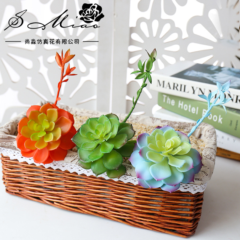 Wusmart Zhong Shi Lian grandi  - Succulent Arrangement Mini recensione e prezzo