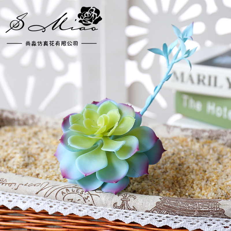 Wusmart Zhong Shi Lian grandi  - Succulent Arrangement Mini recensione e prezzo
