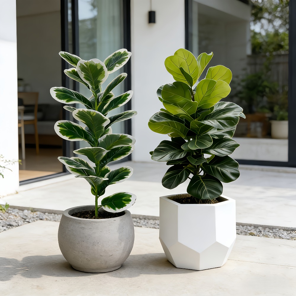 Alberi di Banyan Artificiali d - Fiddle Leaf Fig recensione e prezzo