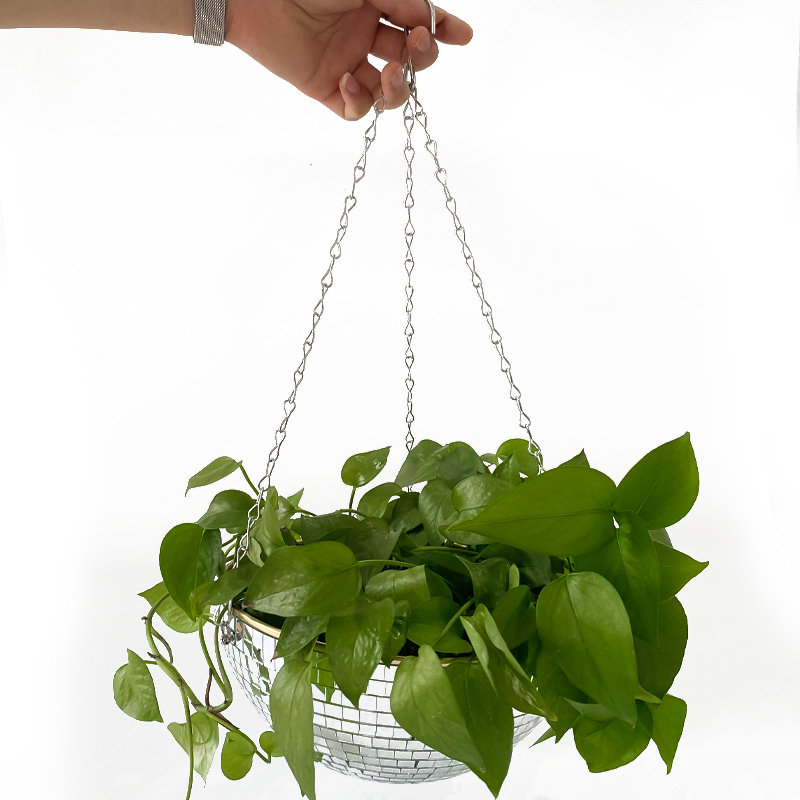 Vaso a sfera a specchio da dis - Plant Parents recensione e prezzo