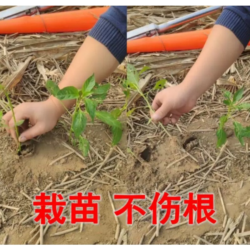 Trapiantatrice Agricola per Pi - Plant Parent Tools recensione e prezzo