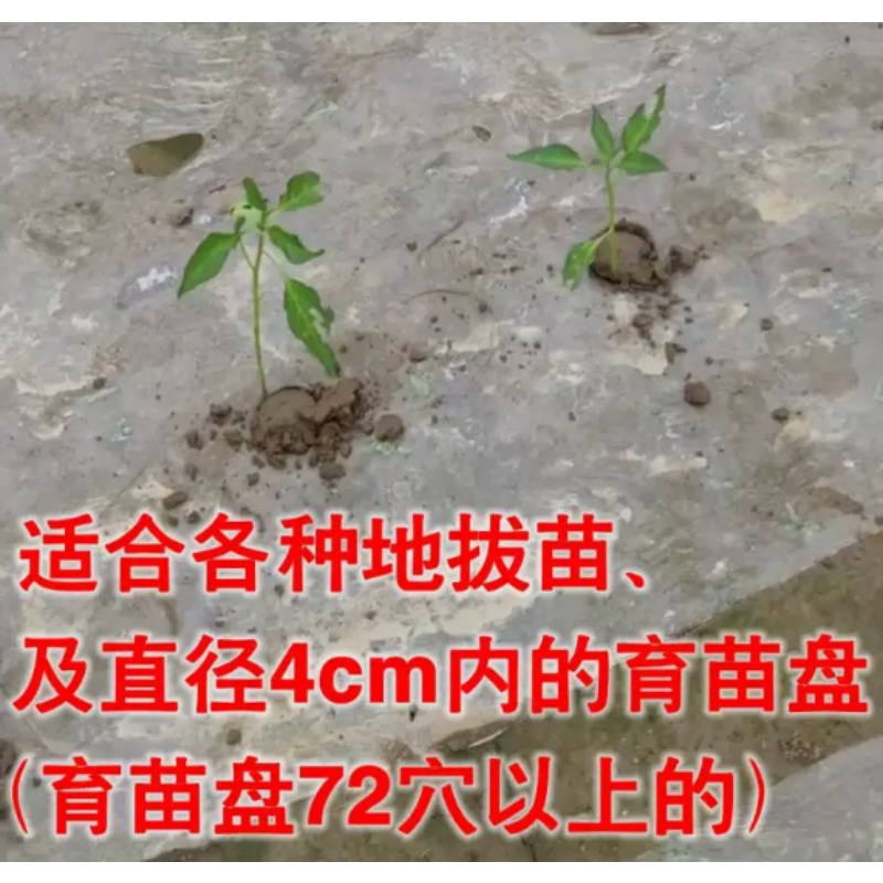 Trapiantatrice Agricola per Pi - Plant Parent Tools recensione e prezzo