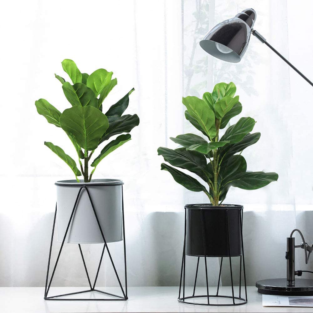 AB33-2 pezzi albero di fico ar - Fiddle Leaf Fig recensione e prezzo