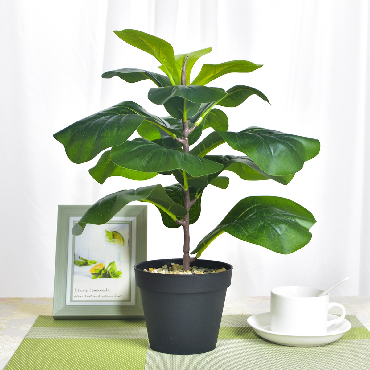 AB33-2 pezzi albero di fico ar - Fiddle Leaf Fig recensione e prezzo