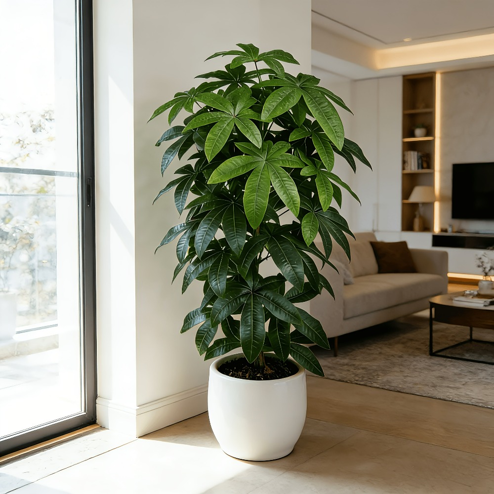 Albero della Fortuna Artificia - Fiddle Leaf Fig recensione e prezzo